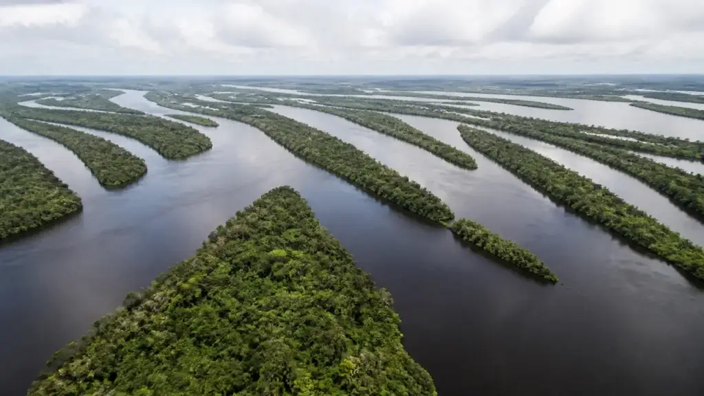 AI-generated editorial visualization of Anavilhanas National Park, Amazonas.