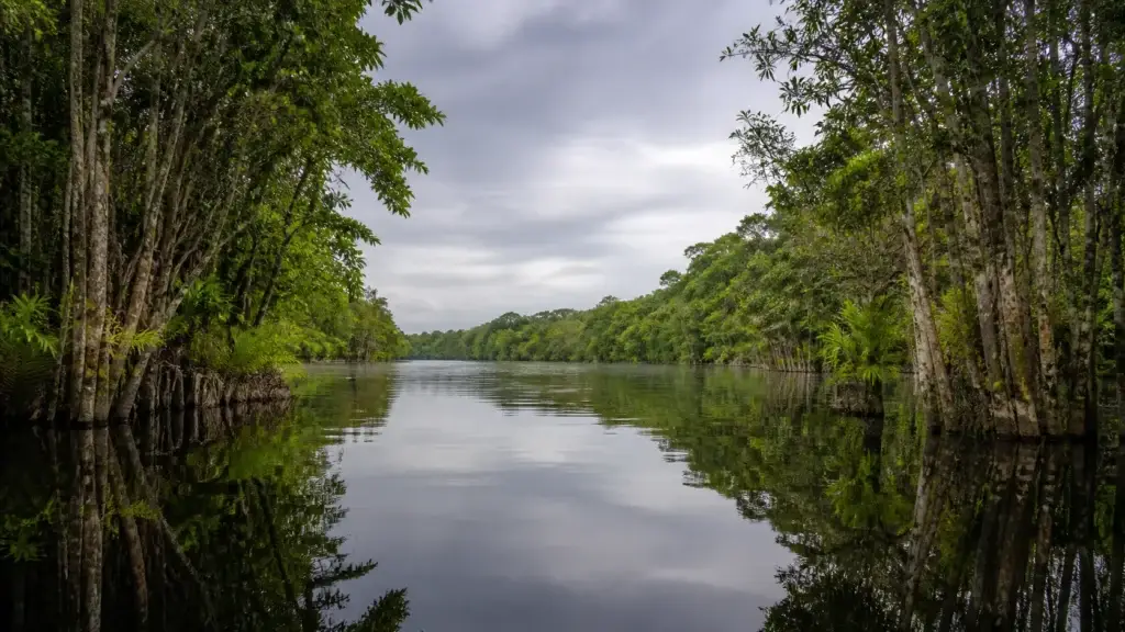 AI-generated editorial visualization of Anavilhanas National Park.