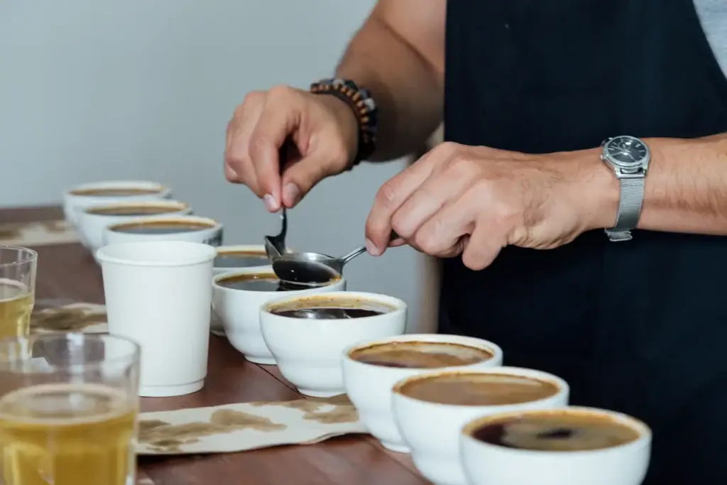 Coffee Cupping Session with Rows of Tasting Cups