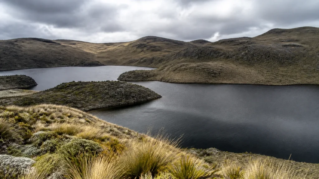 AI-generated editorial visualization of Cajas National Park paramo-and-lake context; it does not depict a named lake, species, route or current condition.