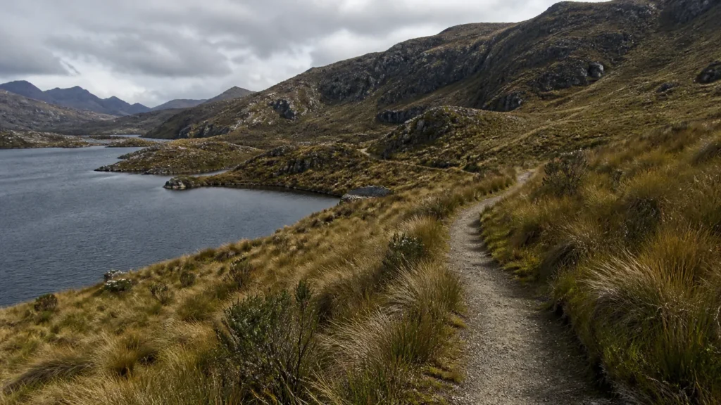 AI-generated editorial visualization of an established-trail context in Cajas National Park; it does not document a route, guide, operator or current access.