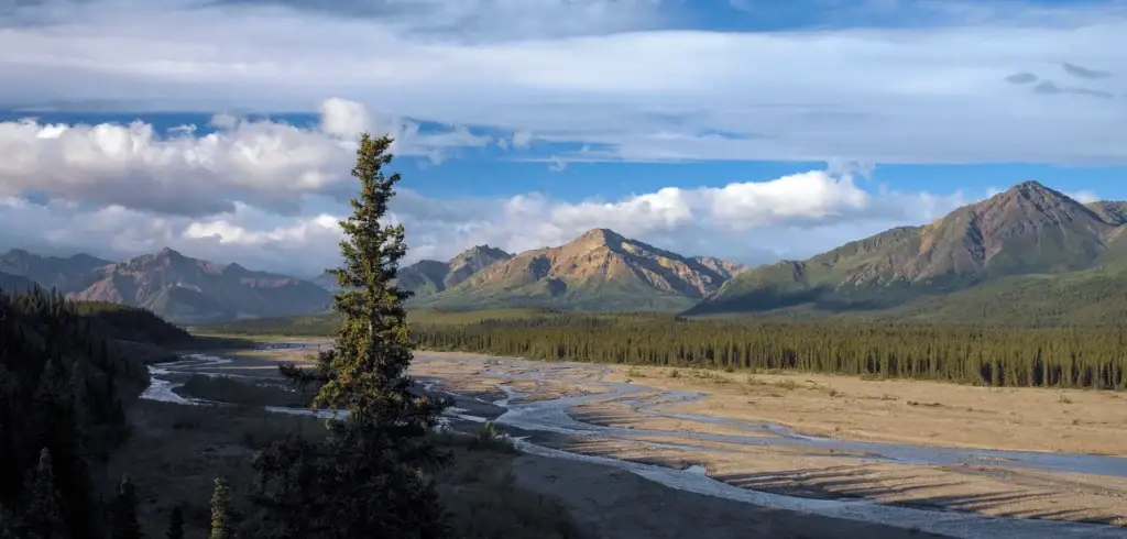 Denali National Park - Alaska