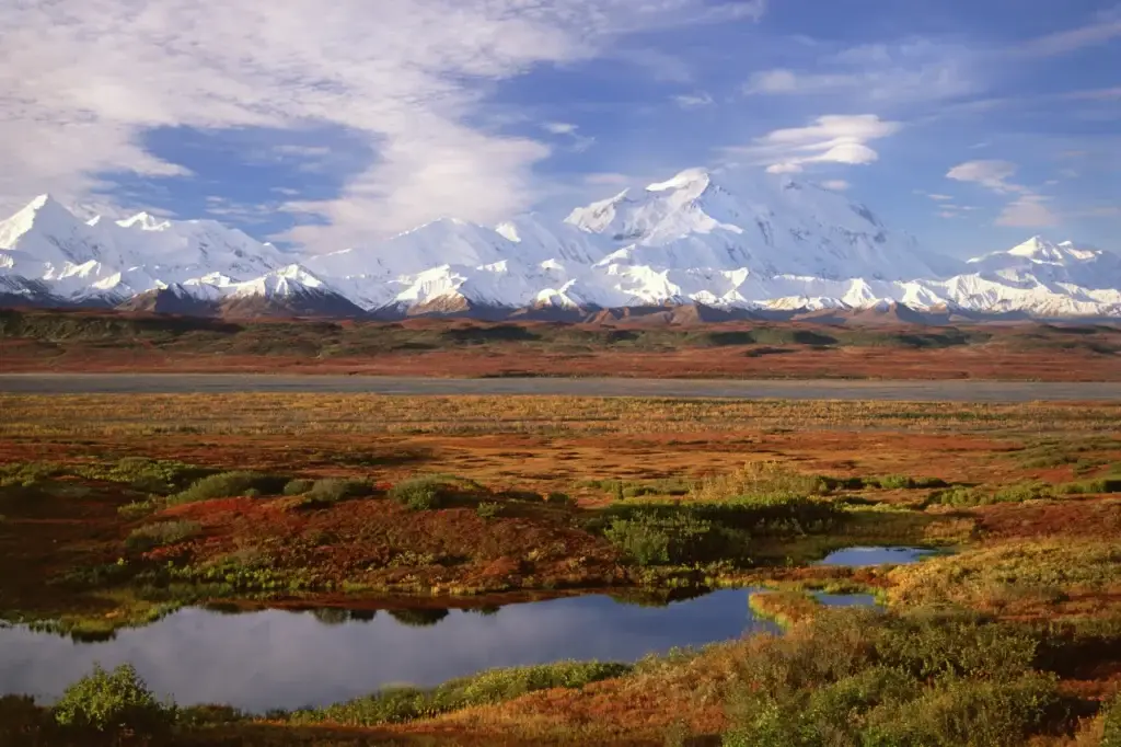 Tundra and kettle pond in Denali National Park, Alaska in the fall