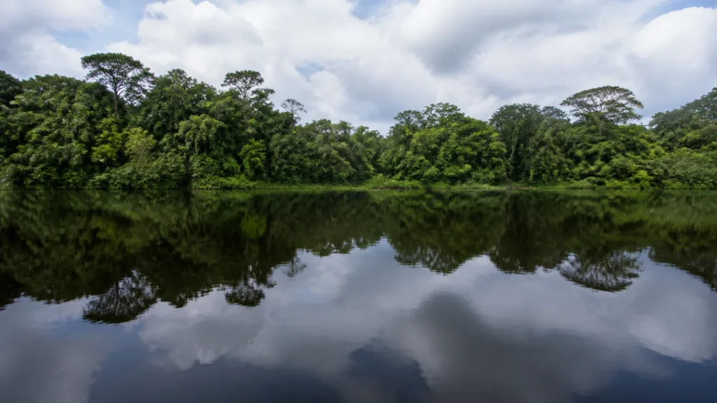 AI-generated editorial visualization of a property-free forest-and-water context for the Napo corridor with no Añangu portrayal.