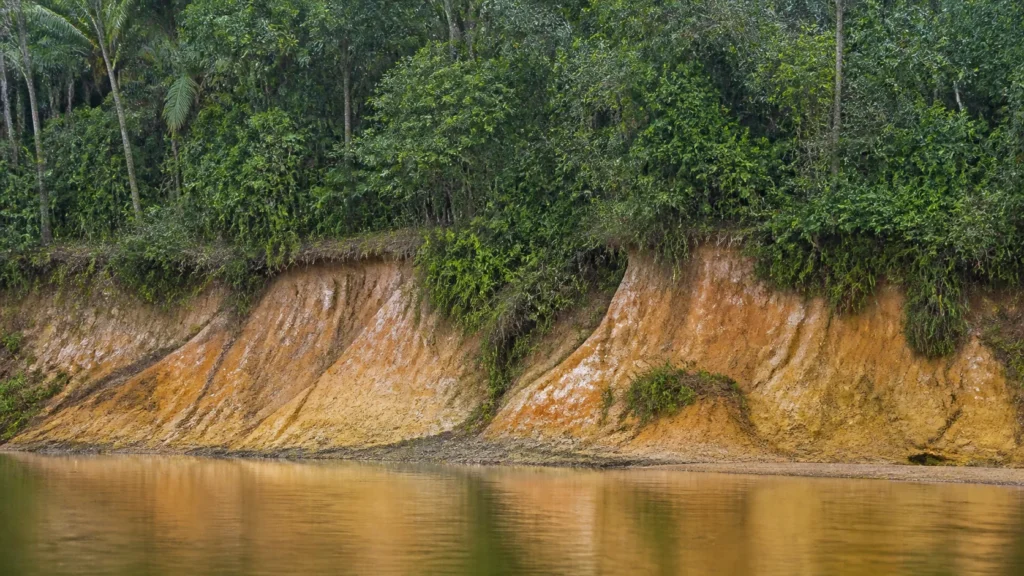 AI-generated editorial visualization of an empty mineral-clay-bank habitat context with no wildlife event.