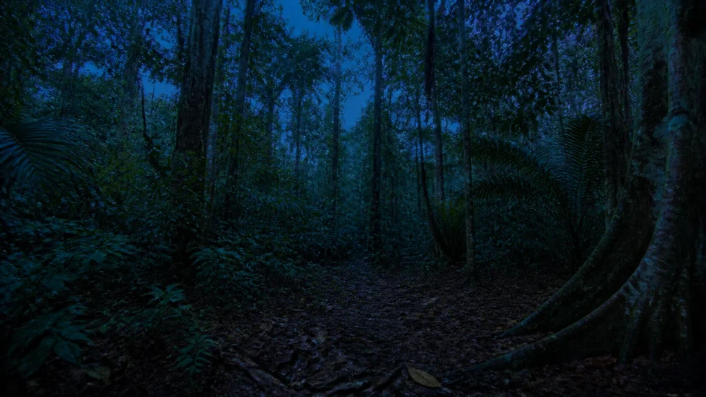 AI-generated editorial visualization of a wildlife-free twilight-forest context in the authorized Yasuní visitor landscape.