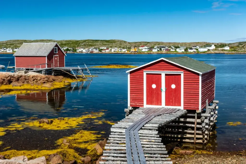 Wide Fogo Island coastal settlement or harbour with saltbox structures, fishing stages and North Atlantic context