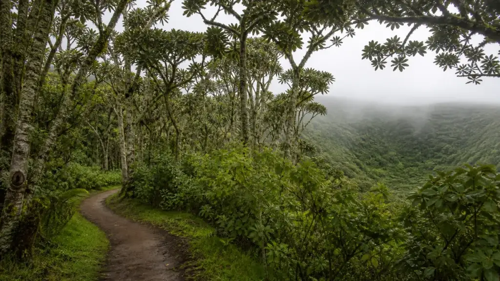 Documented Santa Cruz highland landscape or Puerto Ayora public setting