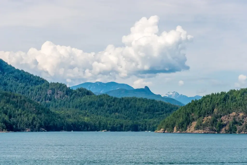 Great Bear Rainforest coastal temperate rainforest, inlet and mountain landscape