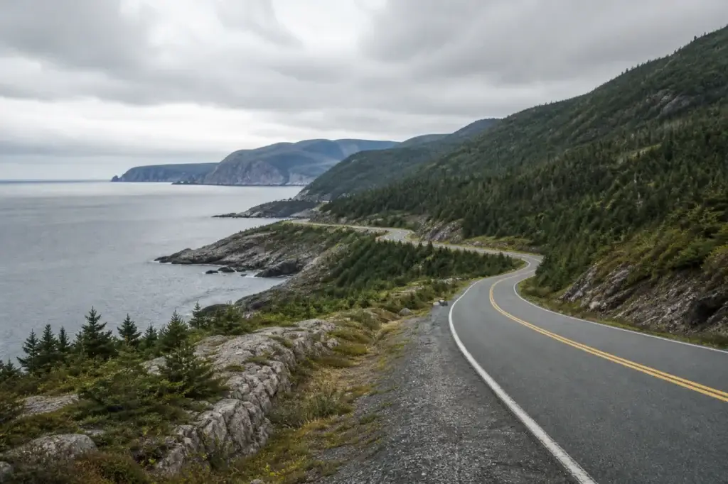 Documented Route 430 or Great Northern Peninsula coastal road with recognizable western Newfoundland context