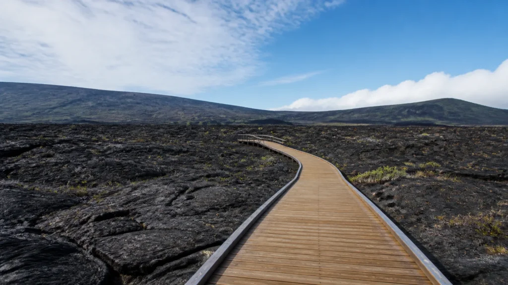 Puʻuloa Petroglyph Field boardwalk or verified kiʻi pōhaku detail photographed from the approved route