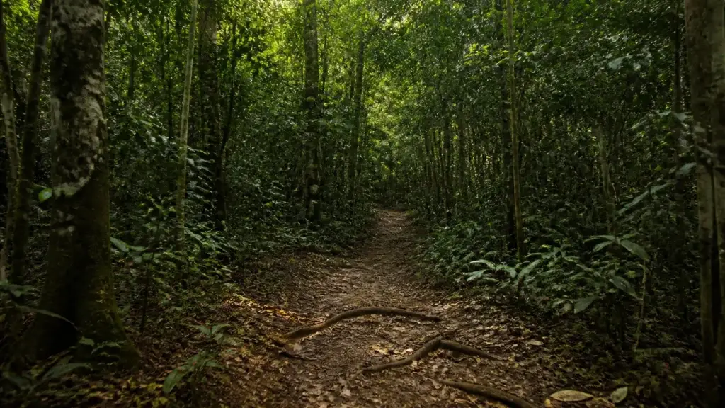 AI-generated editorial visualization of Enter Sendero Macuco with wildlife-aware restraint.