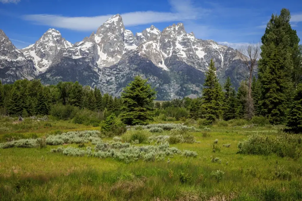 Grand Teton National Park or Jackson Hole valley landscape with the Teton Range