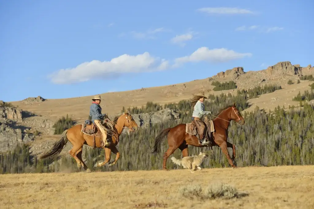 USA, Wyoming, two riding cowgirls and her running dog
