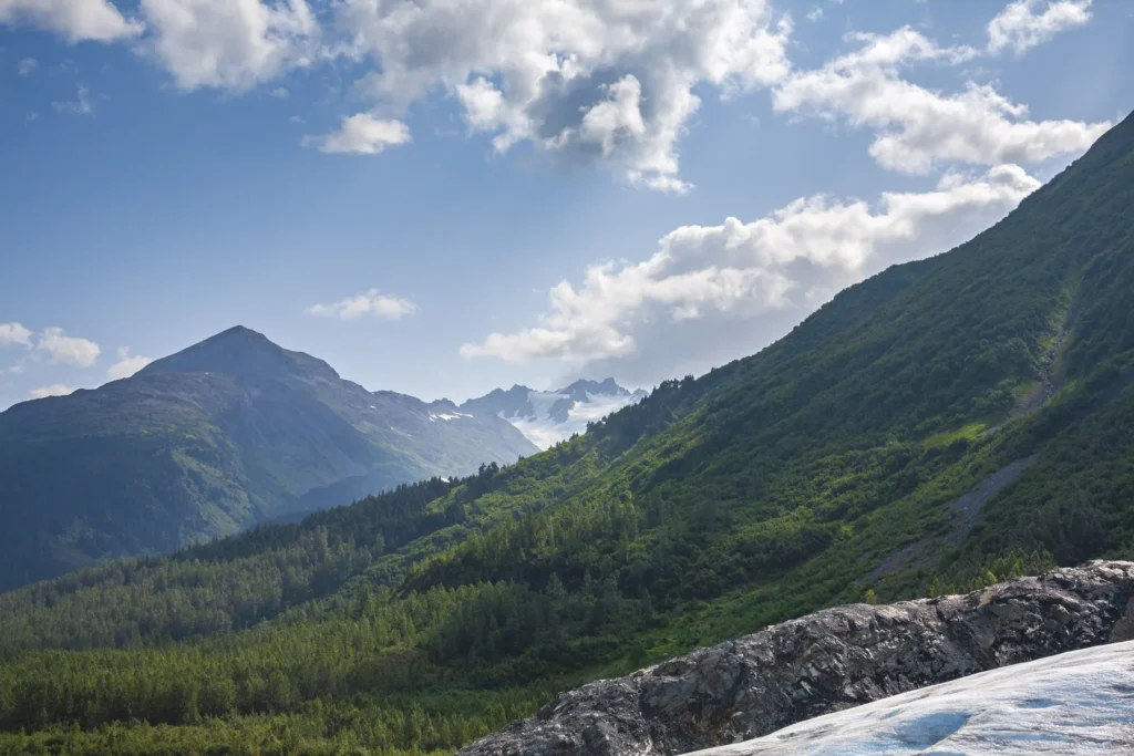 Exit Glacier viewed from an authorized trail or overlook