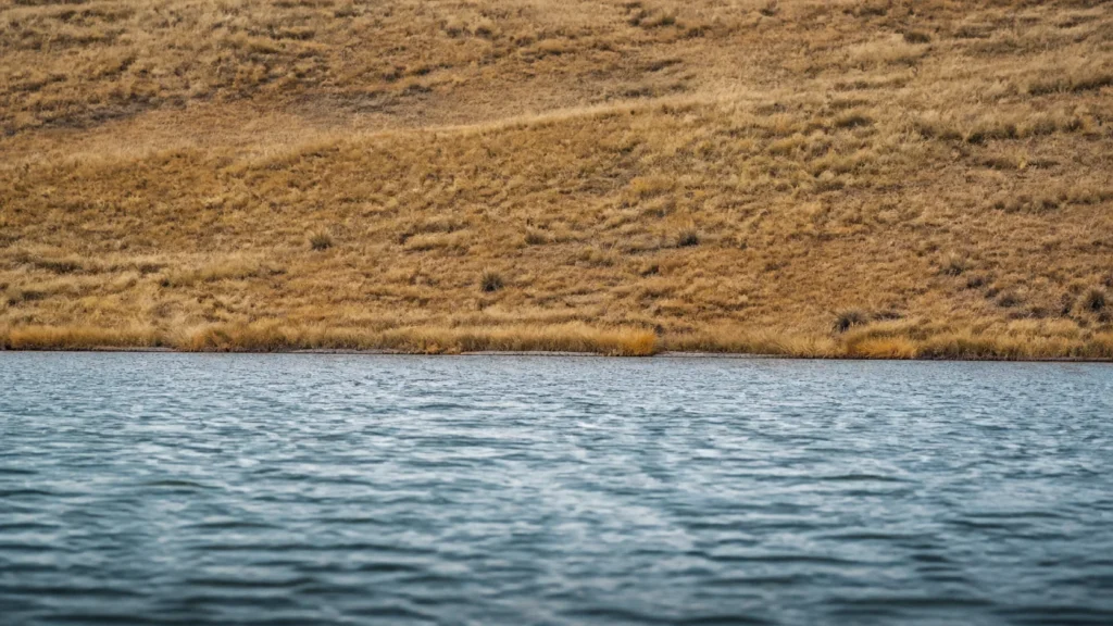 AI-generated editorial visualization of a low, skyless Laguna Umayo water-and-puna context without archaeological depiction.