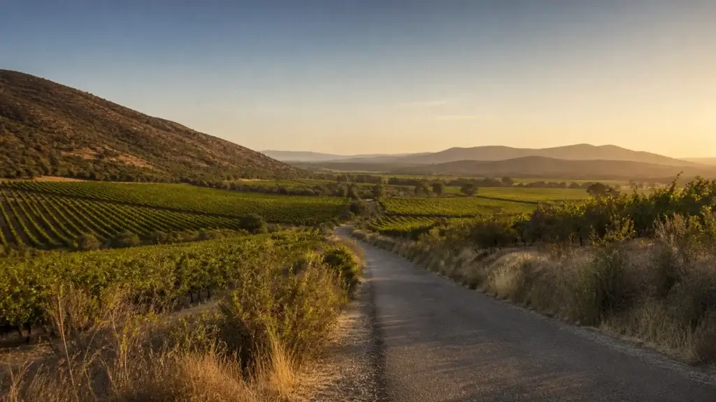 AI-generated editorial visualization of Stay in Colchagua for rural destination depth.