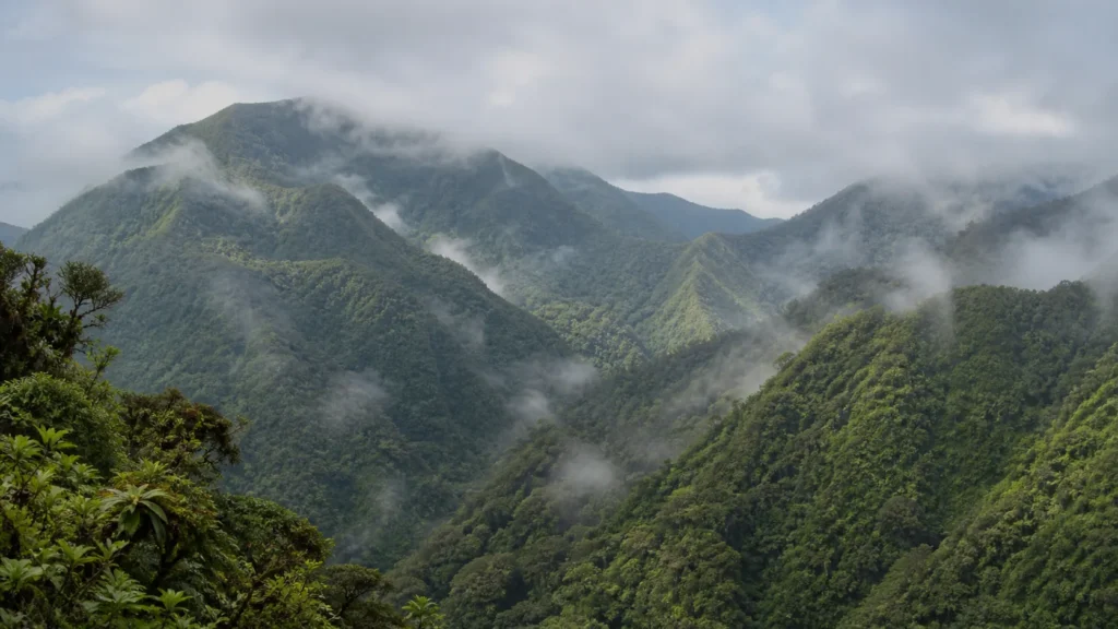 AI-generated editorial visualization of the layered cloud-forest ridges of Ecuador's Chocó Andino.