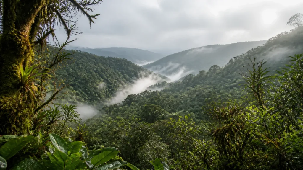 AI-generated editorial visualization of a montane cloud-forest habitat context near Mindo.