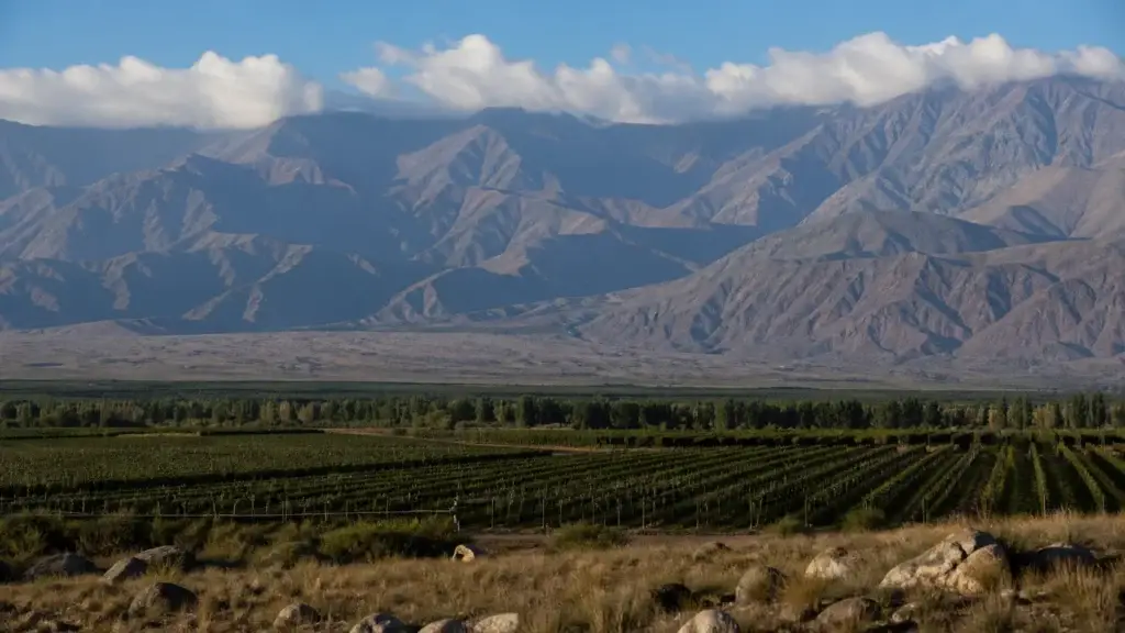 Documented Uco Valley vineyard and alluvial or mountain context in Tupungato, Tunuyán or San Carlos