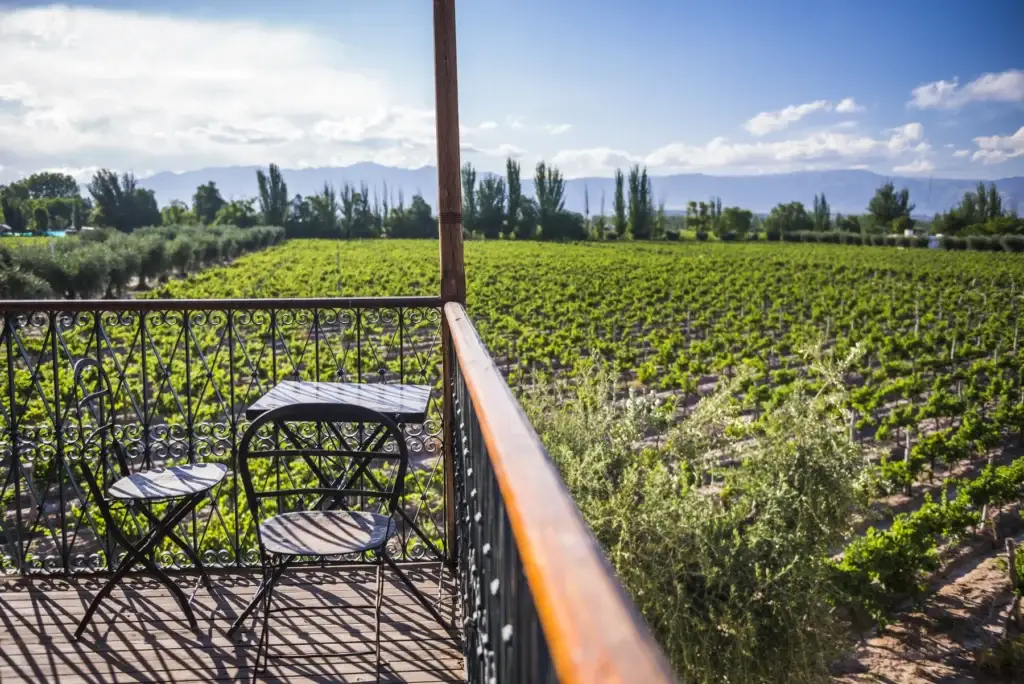Documented Mendoza vineyard lunch or regional ingredient table with landscape context and restrained alcohol presence