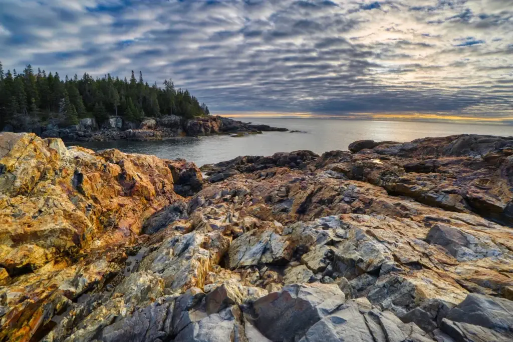 Acadia National Park rocky tidepool with visible intertidal habitat