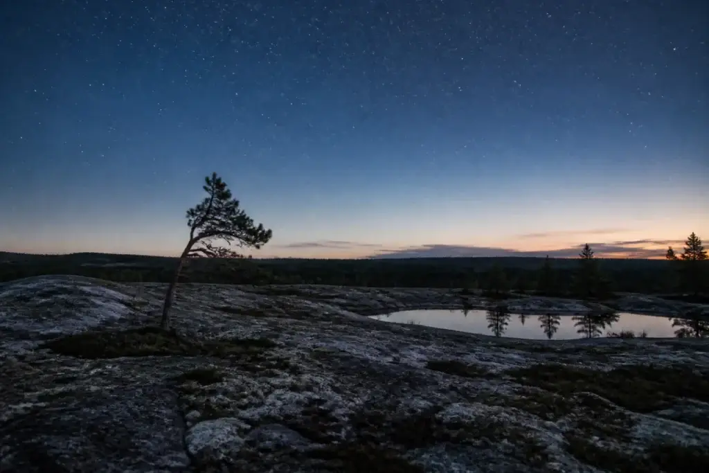Documented Torrance Barrens night landscape or rock-barren dusk without intrusive lighting
