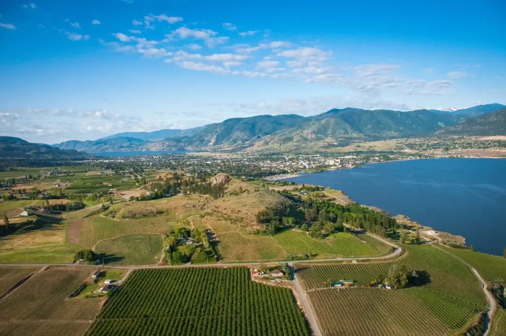 Okanagan Lake with vineyards or orchards and recognizable valley geography