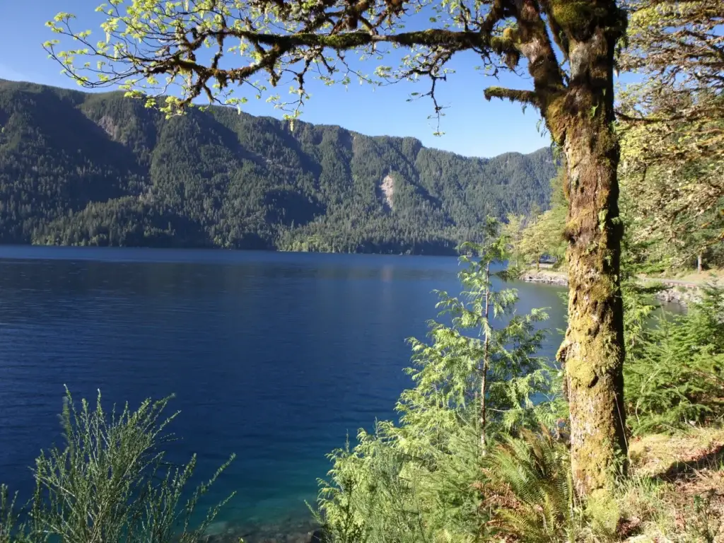 Lake Crescent or exact northern Olympic National Park landscape
