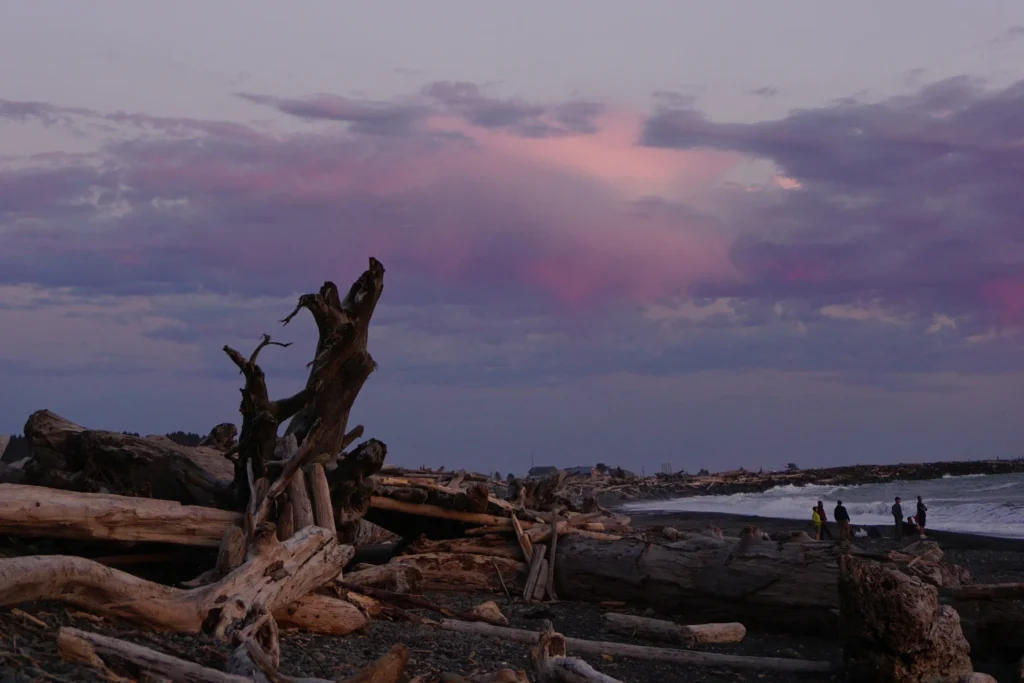 Drift logs below purple sunset clouds at Rialto Beach in Olympic National Park