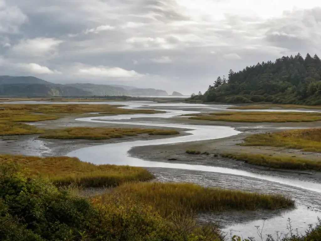 Oregon Coast estuary