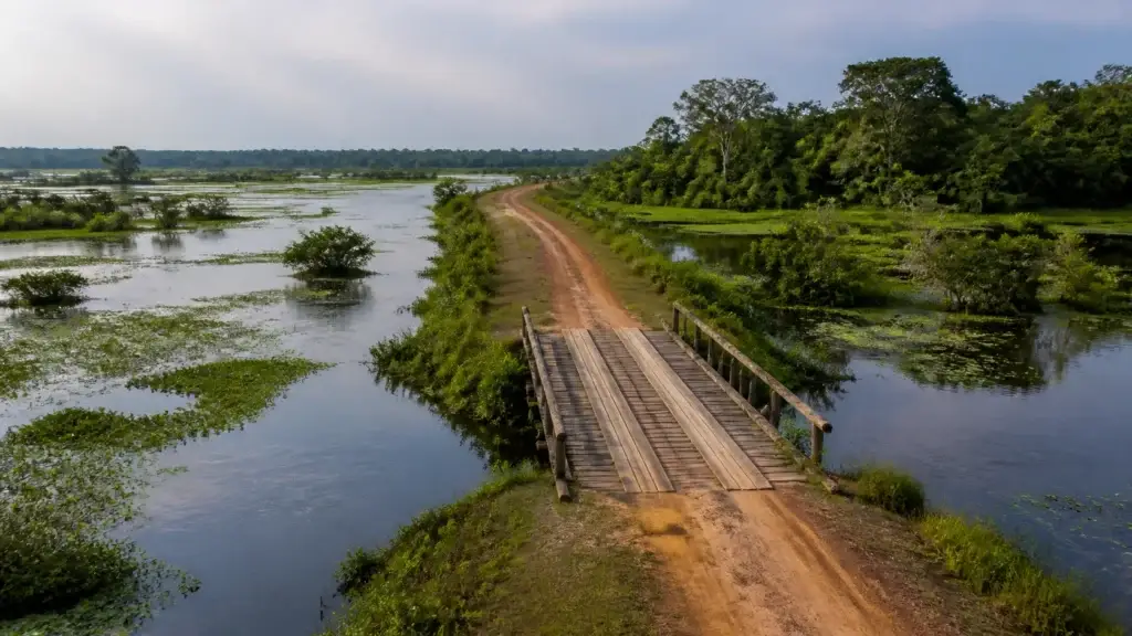 AI-generated editorial visualization of Northern Pantanal, Mato Grosso.