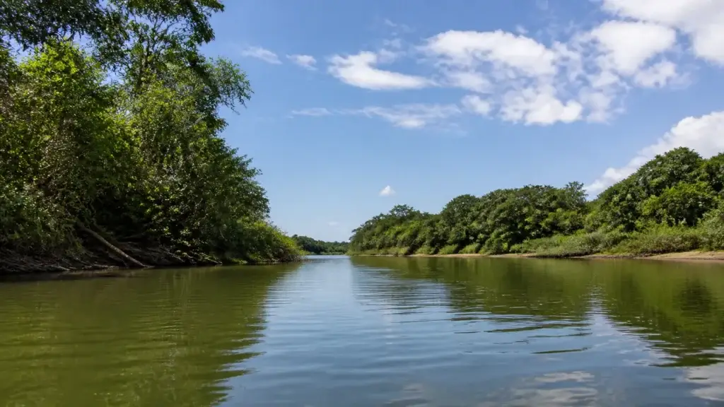 AI-generated editorial visualization of Pantanal river, Brazil.