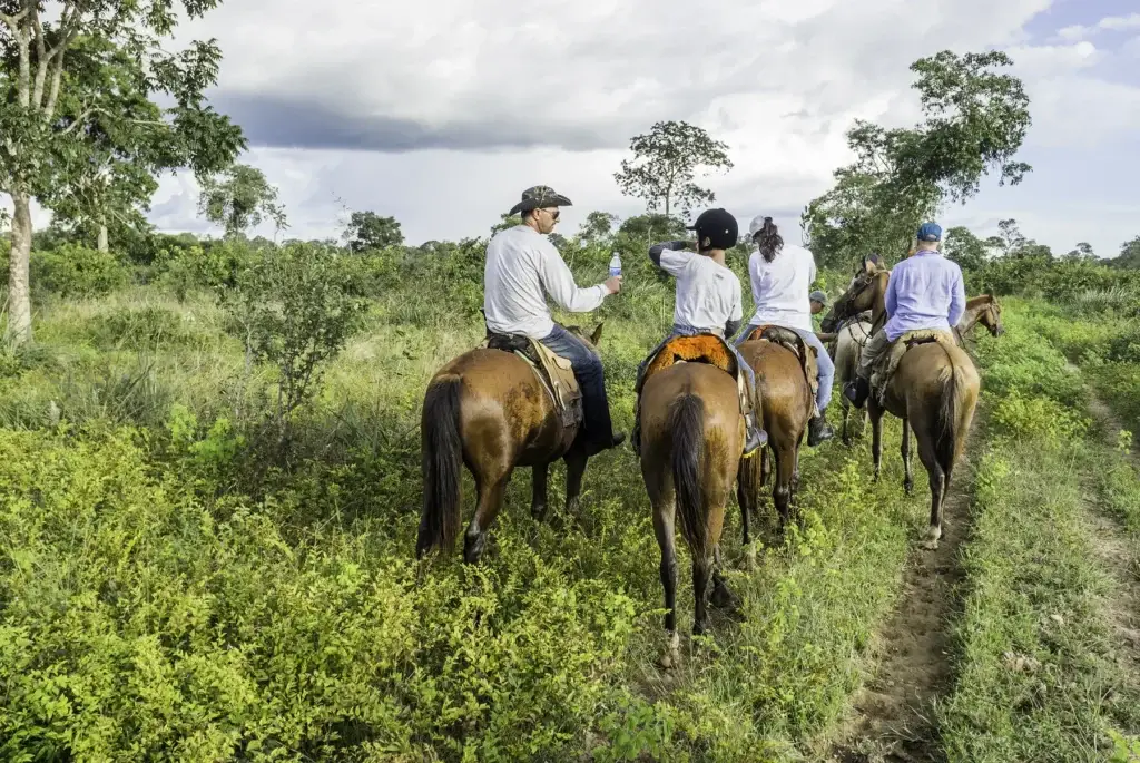 Mato Grosso, Brazil - Circa March 2014 - Tourists Ride Horses In The Pantanal. The Pantanal Is The