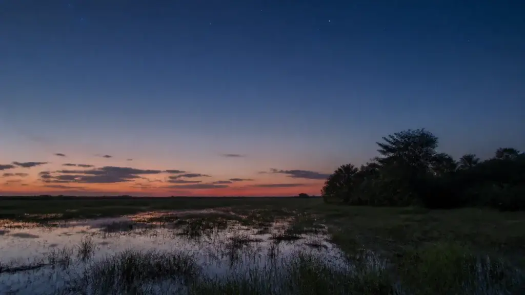 AI-generated editorial visualization of Pantanal, Brazil.