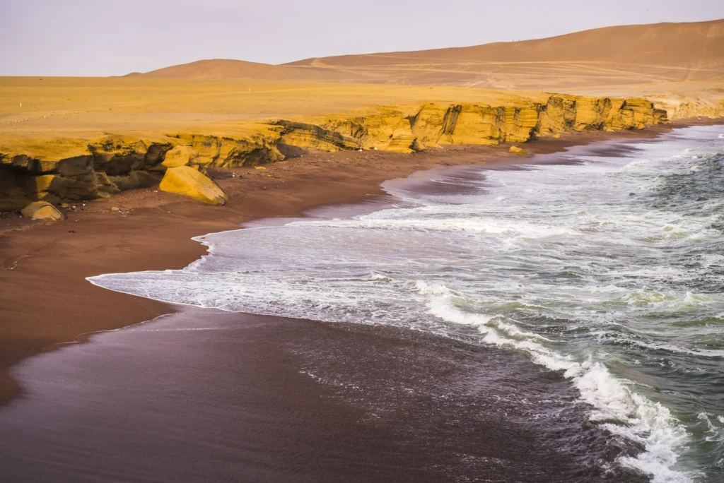 Documented Paracas National Reserve coastline and desert