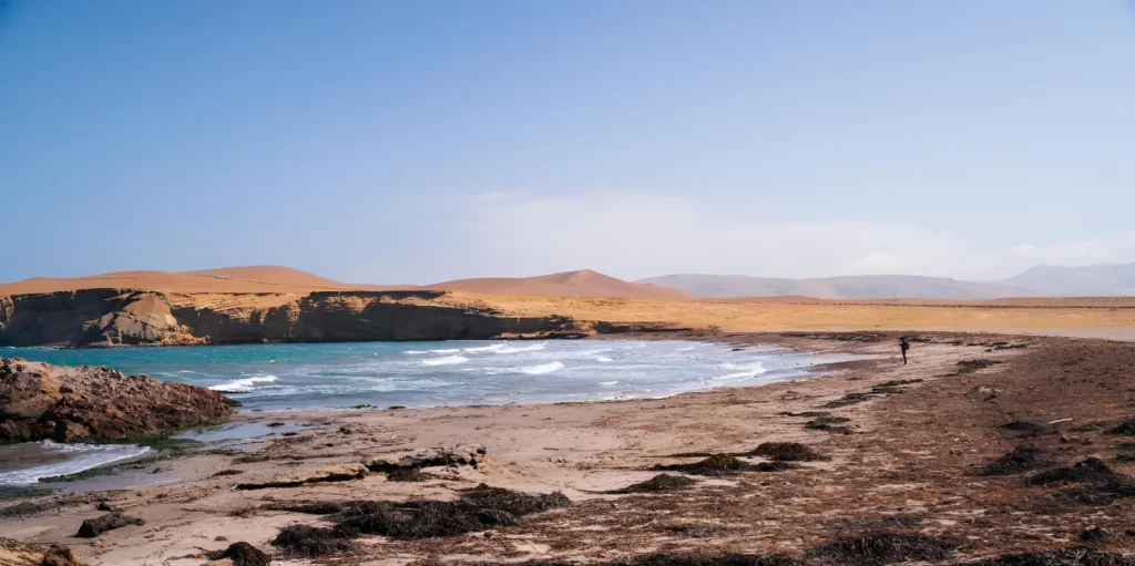 Deserted Beach in Paracas, Peru