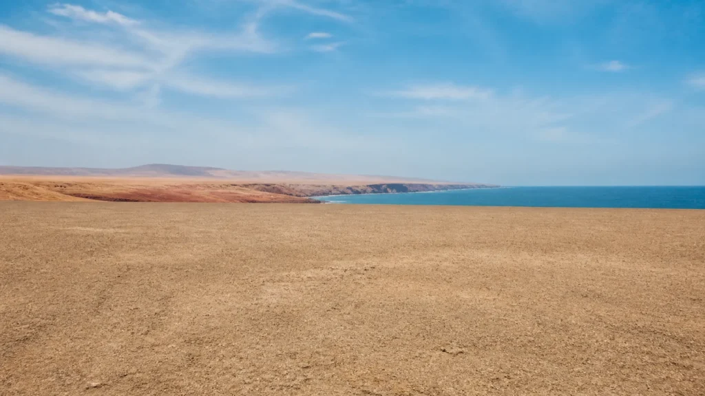 AI-generated editorial visualization of a lawful public-viewpoint context for the Paracas marine desert.