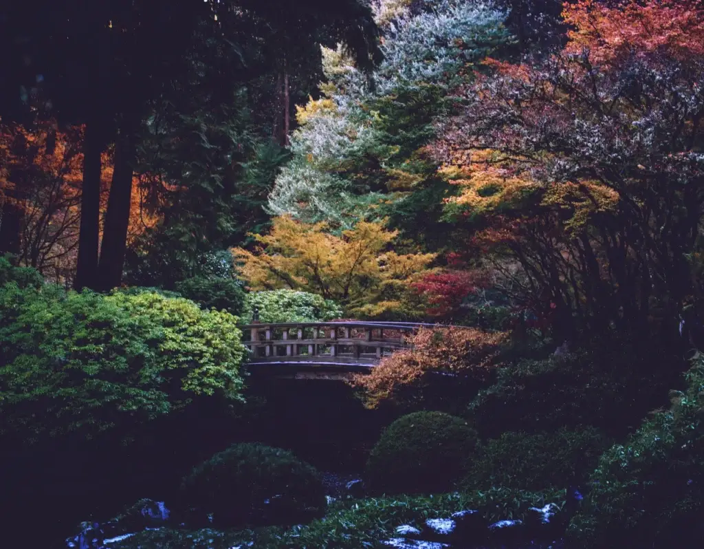 Portland Japanese Garden landscape