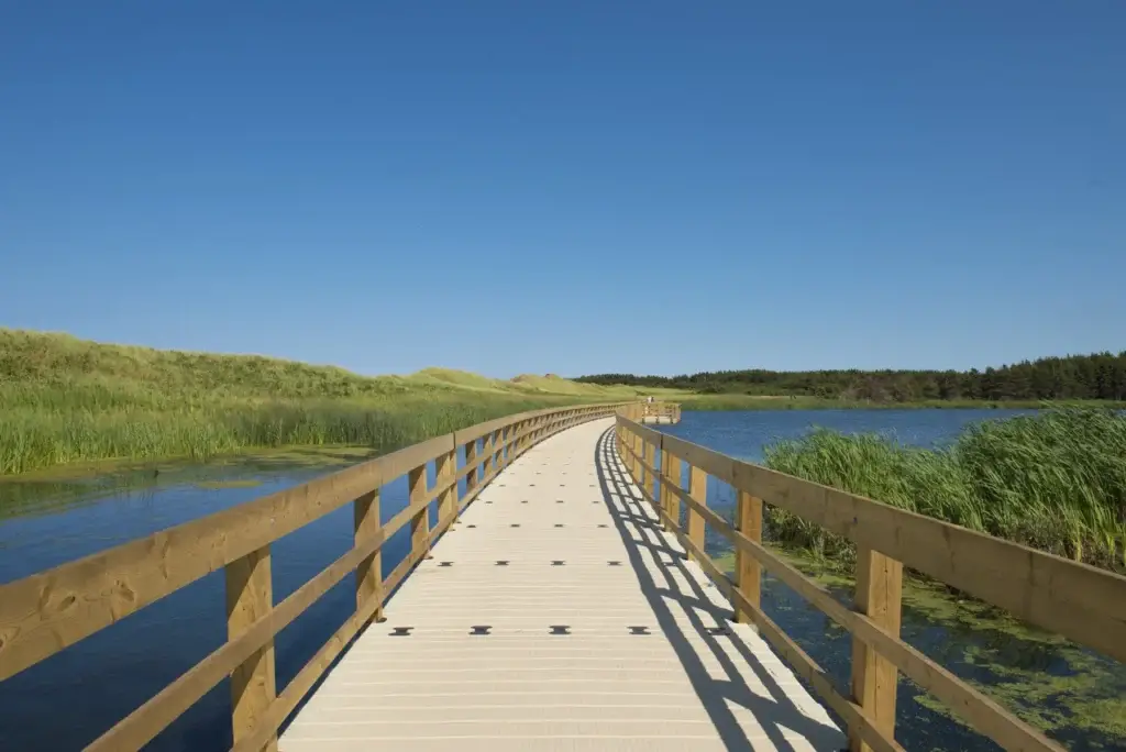 Documented PEI National Park supervised beach or authorized public dune boardwalk