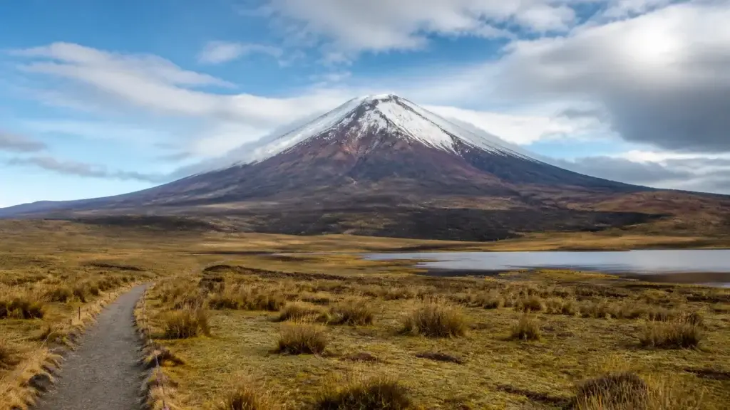 Exact Cotopaxi National Park landscape from a currently open visitor zone such as Limpiopungo