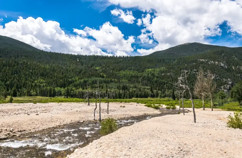 Mountain River In The Rocky Mountains. Nature Of Colorado