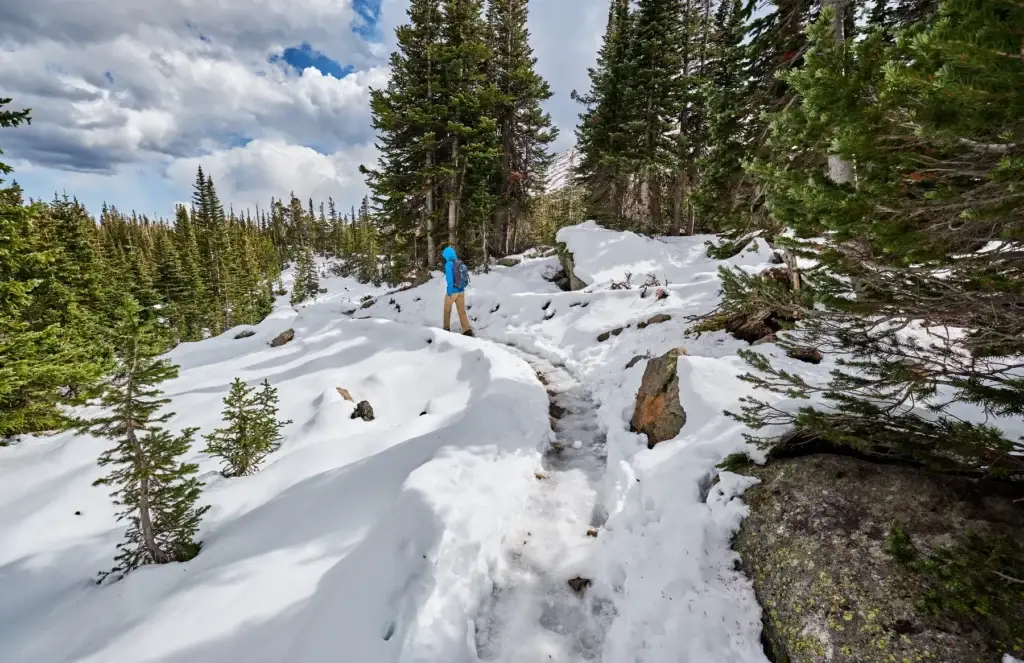 Rocky Mountain National Park winter trail, snowshoe route or safely accessible snow landscape