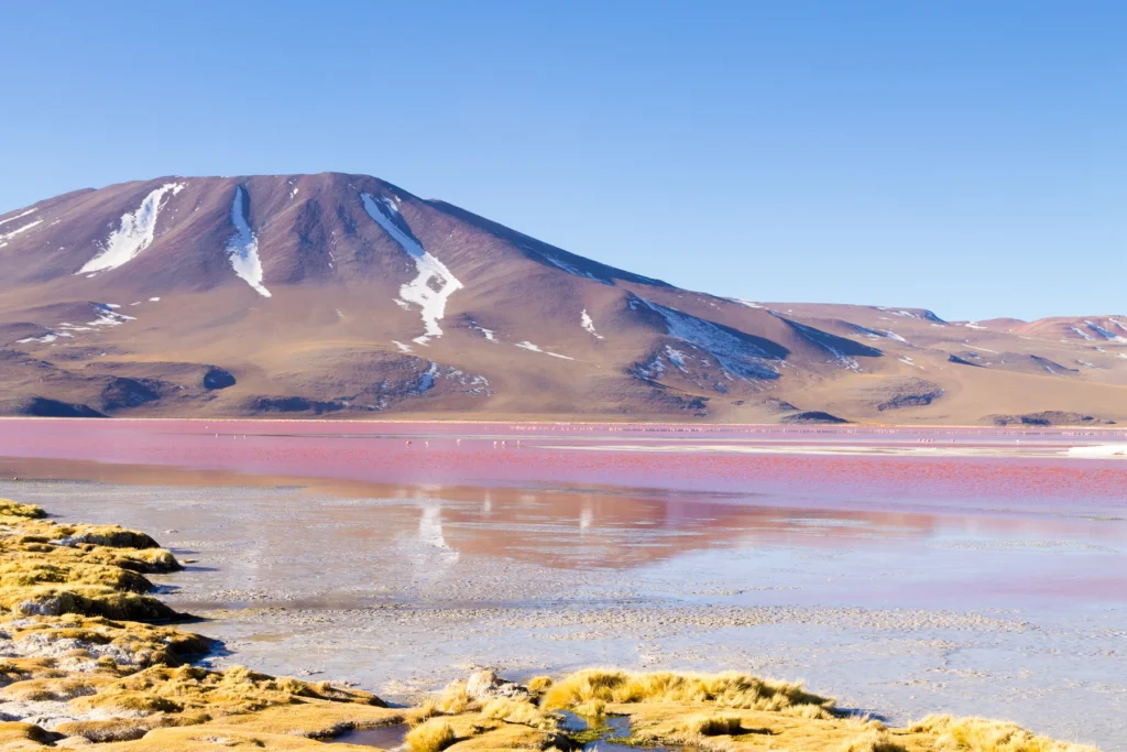 Documented named lagoon in Bolivia's Eduardo Avaroa reserve