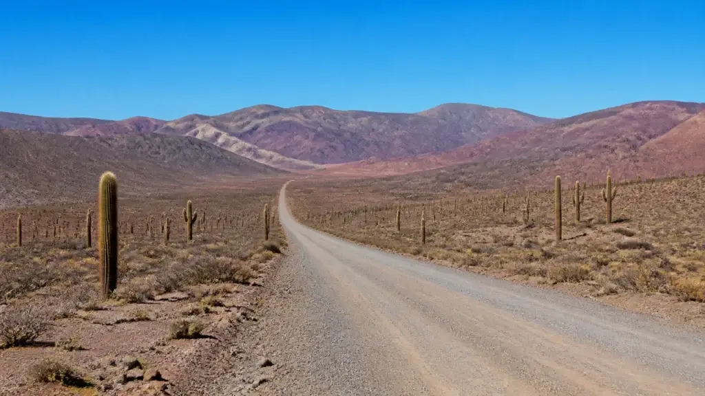 AI-generated editorial visualization of Cross Los Cardones as an ecological transect.