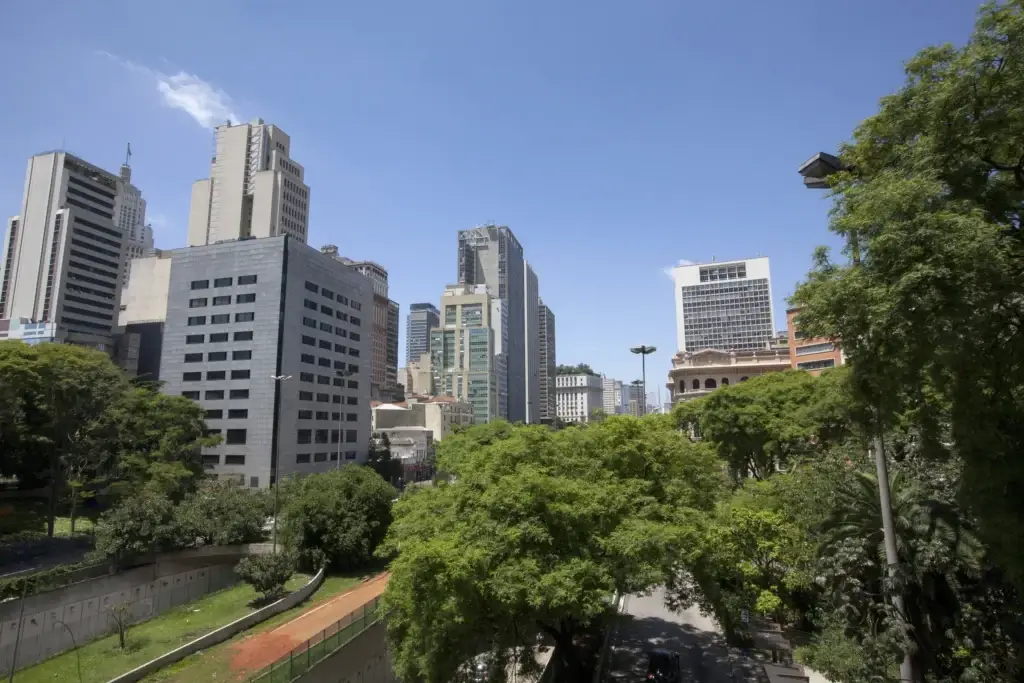 Documented São Paulo cityscape with identifiable urban form