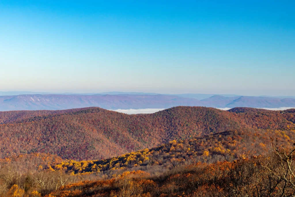 Shenandoah National Park ridge layers with Skyline Drive or a documented overlook context