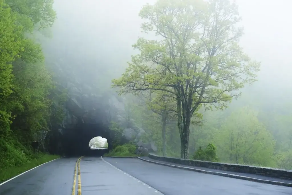 Tunnel on misty empty road, Shenandoah National Park, Virginia, USA