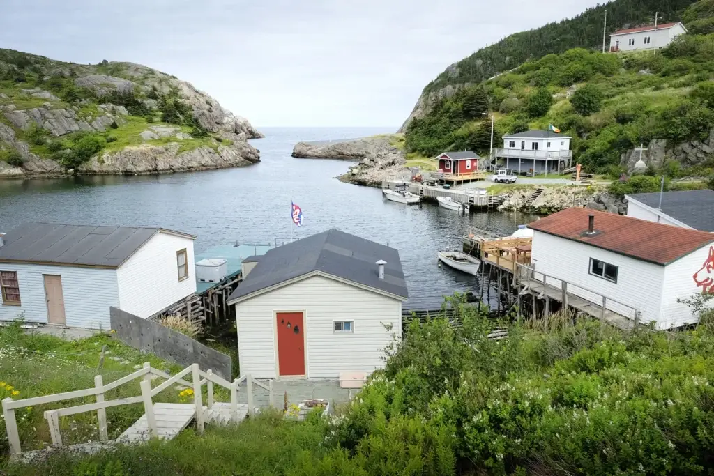 St. John's urban waterfront or an exact Irish Loop coastal community composition