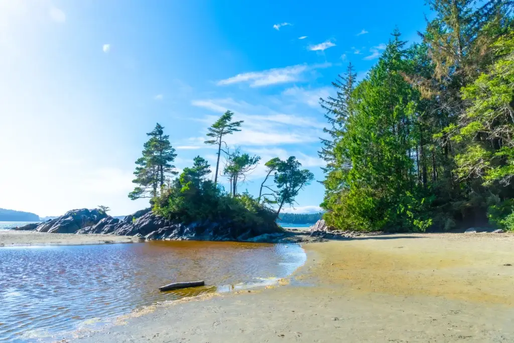 Exact Tofino, Cox Bay, Chesterman Beach or Long Beach coastal landscape